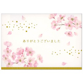 Sanrio JSG18-3 SANRIO 869252 Message Card, Graduation, Watercolor Cherry Blossom Flower Appreciation, Greeting Card, Overseas Transportation Available