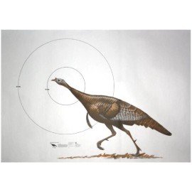 National Target NRA Wild Turkey Life-Size Game Targets (HF 07990) 60" x 42" (3 rolled) SHIP FREE