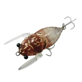 TIEMCO #060 Cicader Origin Magnum Lure, Hibarako