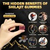 Newrish Shilajit Gummies l Manuka Honey |No Added Sugar I