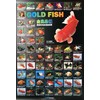 Azoo AZ90176 Gold Fish Décor Poster