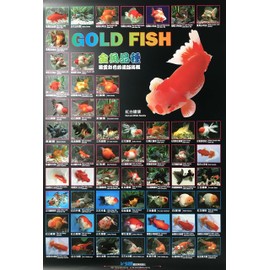 Azoo AZ90176 Gold Fish Décor Poster