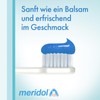 Meridol Toothpaste All-Round Care, 75 ml