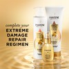 Pantene Pro-V Miracles Extreme Damage Care Regenerative Oil Blend 1