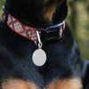 LALAFINA Placa Redonda De Acero Inoxidable Para Perro Y Gato