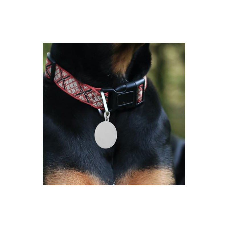 LALAFINA Placa Redonda De Acero Inoxidable Para Perro Y Gato