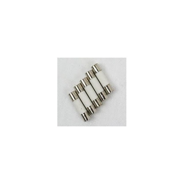 Pack of 5, 3/16 inch X 3/4 inch (5X20mm) 4A 250v Fuses Ceramic Slow Blow (Time Delay/Slow Acting), T4a 4 amp