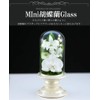 Art Four Seasons Buddha Flower (White) Mini Phalaenopsis Mini Glass