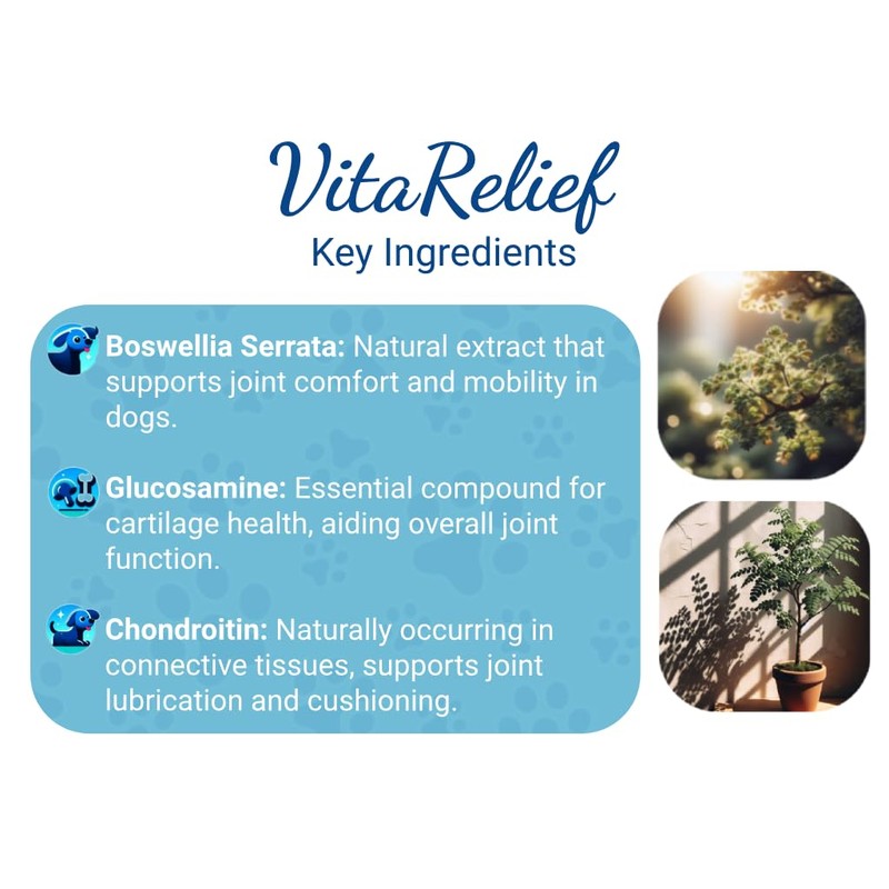 VitaRelief - Advanced Joint Care Supplement for Dogs - 90