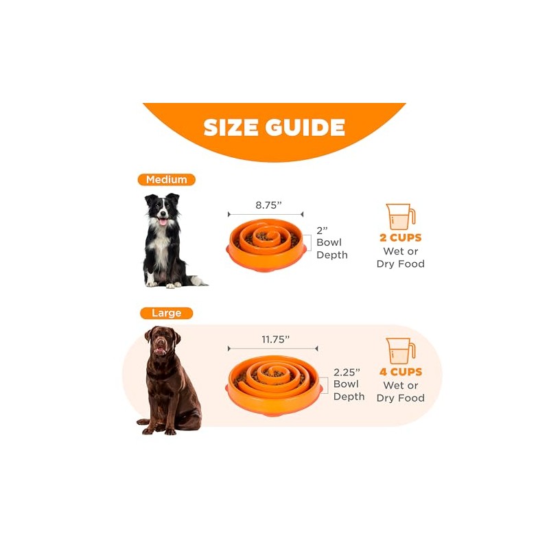 Outward Hound Divertido comedero para Perros con alimentación Lenta para