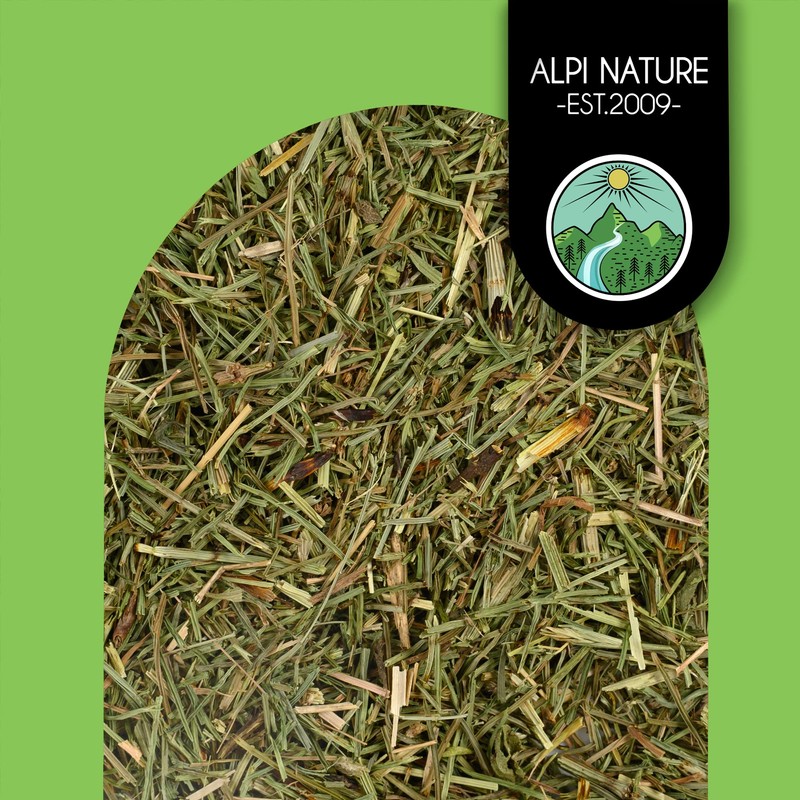 Horsetail Infusion (500g, 1.1lb), Horsetail Tea, Cut Field Horsetail, Gently