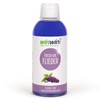 winwin clean Systemische Reinigung winwinClean Fresh Air Air Cleaning Concentrate