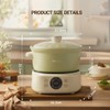 Bear Electric Clay Pot DSG-D30S1, Fast Stew Pot for Casserole