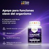 Multi Magnesio Formas Complejo Gluconato Citrato Glicinato Malato Taurato Cápsulas
