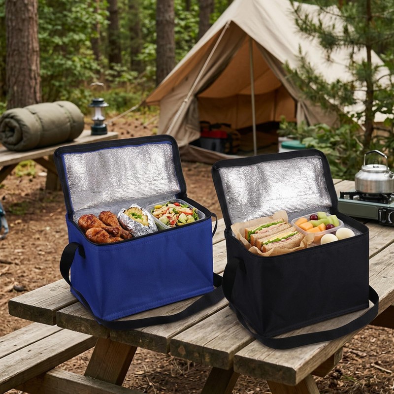 2 Pcs Small Cooler Bag, Small Cool Bags, Cooler Bag