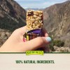 Nature Valley 2 Pack - Nature Valley Chewy Trail Mix