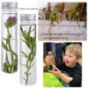 LATRAT 12 Pcs Plastic Test Tubes with Screw Cap (110ml)