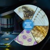 100P Microscope Slides with Biological Samples, Animals, Insects, Plants, Human