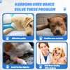 Dog Knee Brace for Torn Hind Leg or Back Leg,