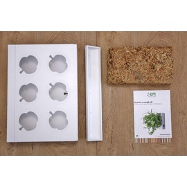 Ortisgreen Hang.Oasi.Home - Indoor Vertical Garden, Contains 1 White Planter Unit, Design Your Own Living Wall With Vertical Gardening Planters, Use Indoors, Holds 6 Plants