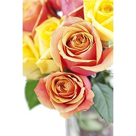KaBloom PRIME NEXT DAY DELIVERY - Fall Collection - Bouquet Of 12 Orange and Yellow Roses (Farm-Fresh, Long-Stem) with Vase .Gift for Birthday, Anniversary,Valentine, Mother’s Day Fresh Flowers