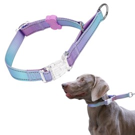 BELLA & PAL Martingale Collar for Dogs, Adjustable, Reflective Dog Collar with Quick Release Buckle, Limited Slip Collar Escape Proof for Walking and Training, Ideal for Small/Medium/Large Dogs, L