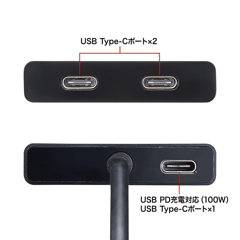 Sanwa Supply USB Type-C Hub (2 x C) USB-3TCP12BK