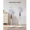 PELONIS 16" Oscillating Pedestal Stand Up Fan | Adjustable Height