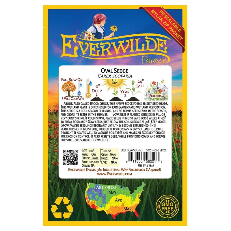 Everwilde Farms - 1000 Oval Sedge Native Grass Seeds -