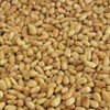 Gourmet Toasted  Pine Nuts by It's Delish, 2 lbs Bulk