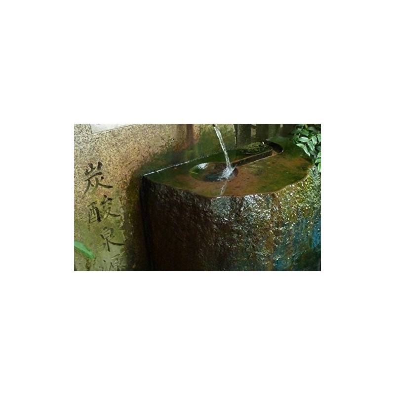 Turtle Stamp arima-onsen Skin Beauty Mist 120ml