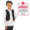Fun Shack FNK3593L Victorian Peasant Costume, Boys, Medium
