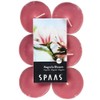 Spaas 12 Scented Maxi Tealights, 10 Hours, Magnolia Blossom, Rose