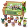 Needle Felting Kit, 15 PCS Succulent Beginner Needle Felting Kit,
