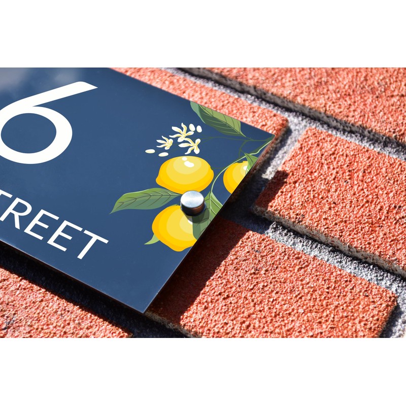 Badgemaster Modern Anthracite House Number Sign Plaque Stainless Steel Standoffs