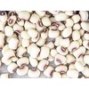 Texas Creme Eyed Peas Heirloom Seeds - Non GMO -