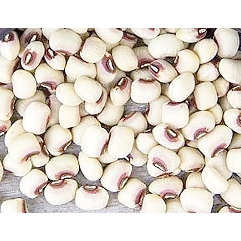 Texas Creme Eyed Peas Heirloom Seeds - Non GMO -