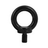 BLOOM SPIRITS Eye Bolt, M8, Stainless Steel, Black