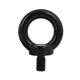 BLOOM SPIRITS Eye Bolt, M8, Stainless Steel, Black