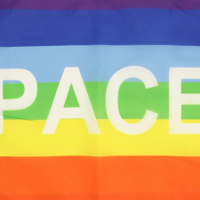 AZ FLAG RAINBOW PACE LETTER FLAG 18'' x 12'' cords