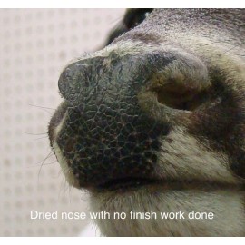 Herramienta de texturado de almohadilla nasal, herramientas de taxidermia, nariz de ciervo, suministros de taxidermista