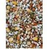 Versele-Laga Plus I.C+ Champion Pigeon Food, 40-lb bag