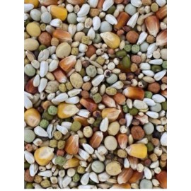 Versele-Laga Plus I.C+ Champion Pigeon Food, 40-lb bag