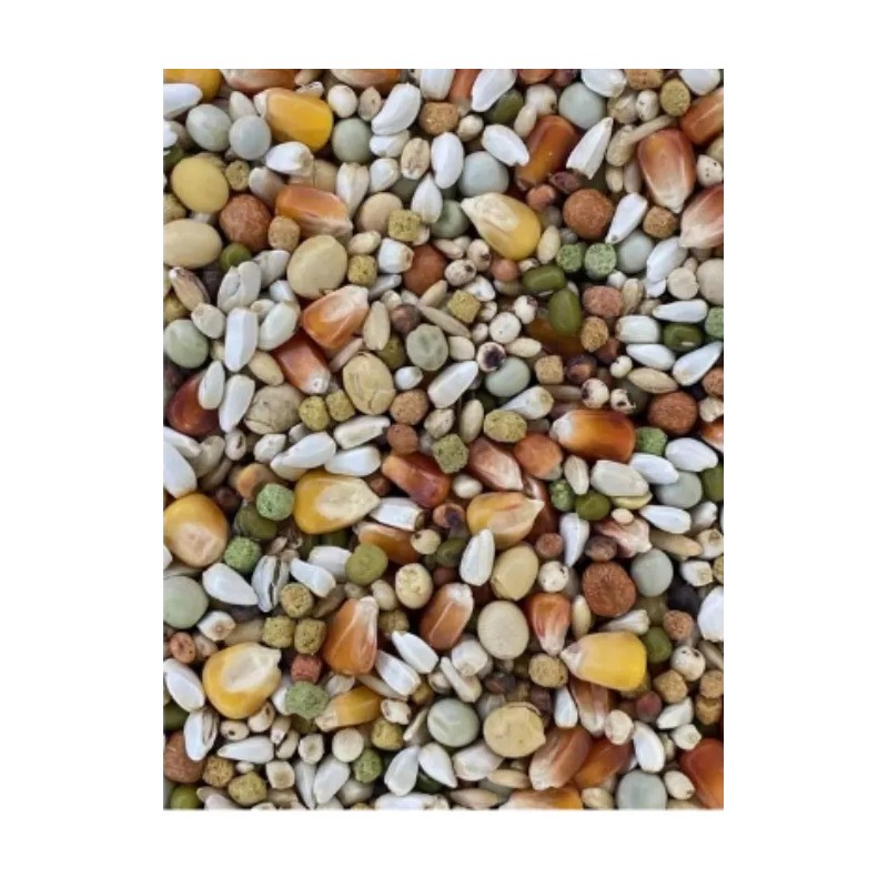 Versele-Laga Plus I.C+ Champion Pigeon Food, 40-lb bag