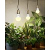 Flaspar Grow Light Bulbs A19 LED, Full Spectrum Plant Light