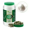VITA IDEAL Vegan® Andrographis Herb 120 Capsules – Chiretta Herb