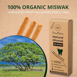10 varillas Miswak – Varillas Miswak para masticar naturales selladas al vacío – Cepillo de dientes con sabor natural para blanquear los dientes, salud bucal y aliento fresco || Paquete de 10 unidades