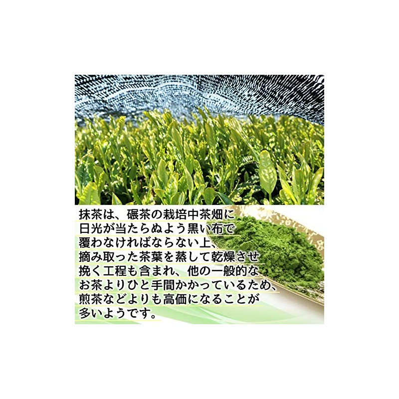有機 国産 抹茶 パウダー100ｇ 粉末 オーガニック 国産有機抹茶100％品 お稽古用 製菓用 加工用
