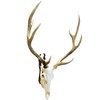 ZENFUN 12 Packs Mount Skull Hanger, Deer Skull Hanger, Pronghorn