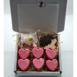 Strong Scented Quilliam the hedgehog wax melt mini gift box